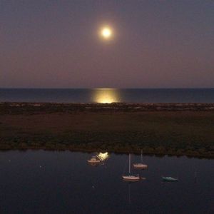 Meet your Posher, Tom